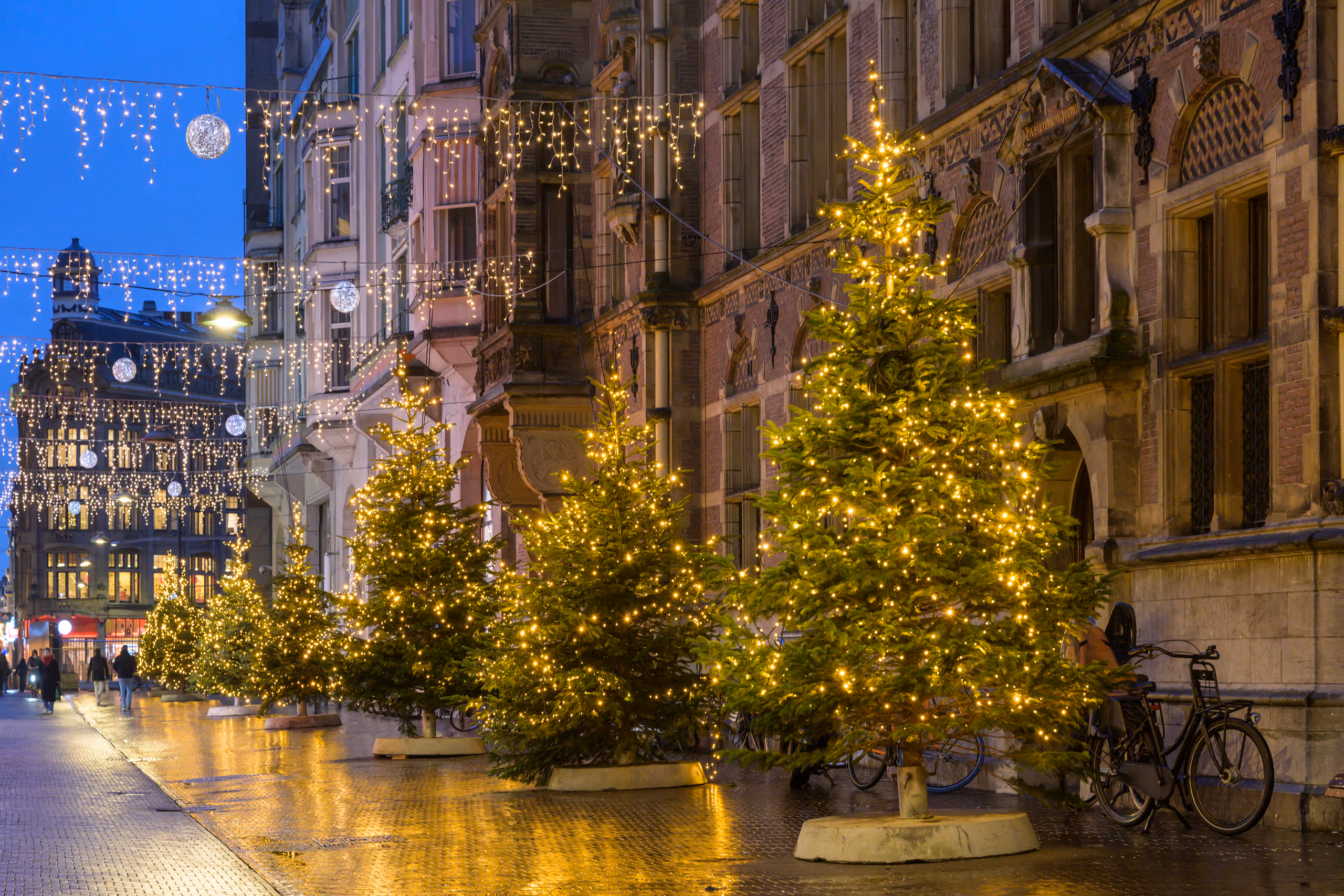 Kerstbomen in de Lange Poten met rechts de gebouwen van de Tweede Kamer