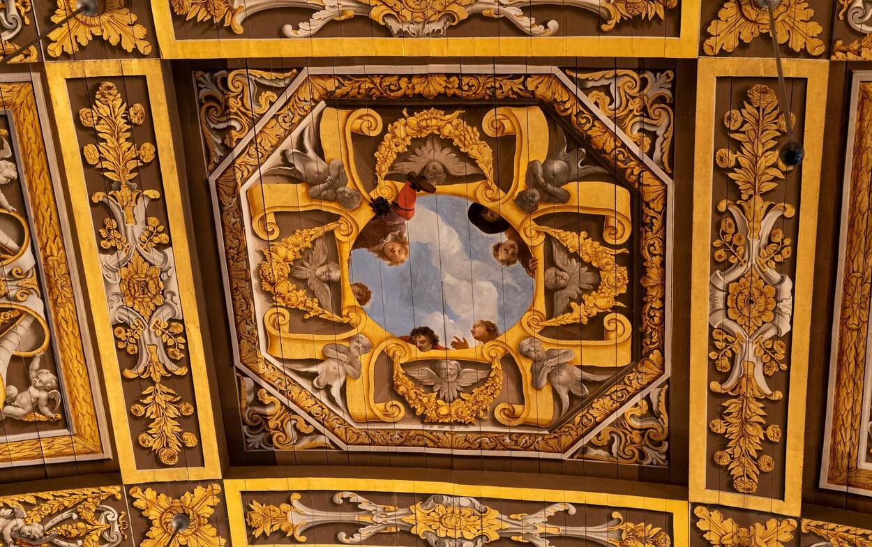 Detail van het plafond van de plenaire vergaderzaal van de Eerste Kamer