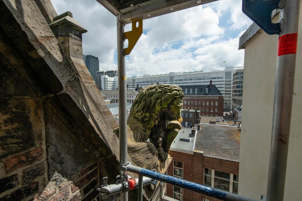 Uitzicht vanaf een steiger op het Binnenhof