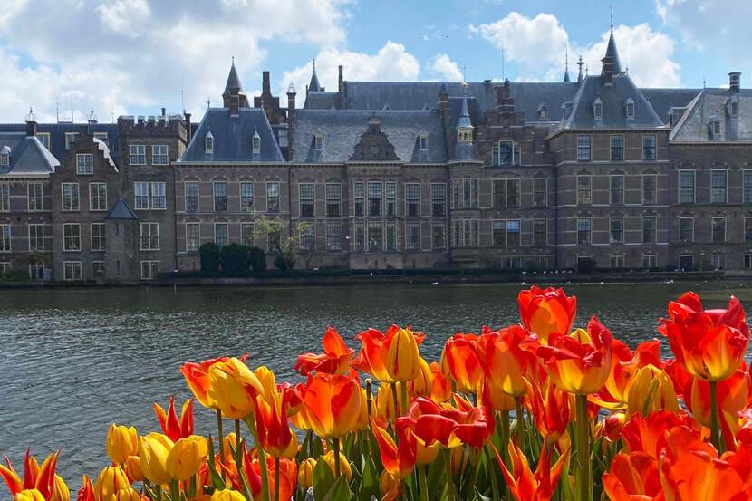 Zicht op de Hofvijver op de voorgrond bloembakken met oranje tulpen