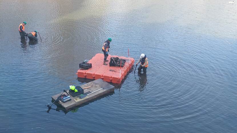 Vier medewerkers in het ondiepe water van de Hofvijver bezig met de bodem