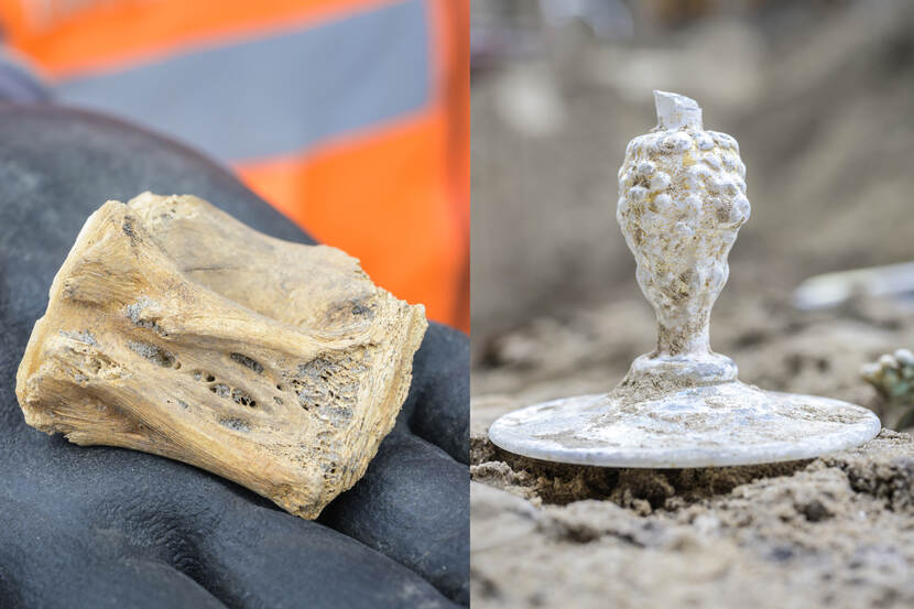 Links een tonijnwervel en rechts een verdikte stam behorend bij bijzonder glas