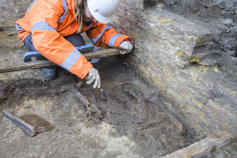 Een archeoloog legt in de kleine grafkelder menselijke botrestanten bloot
