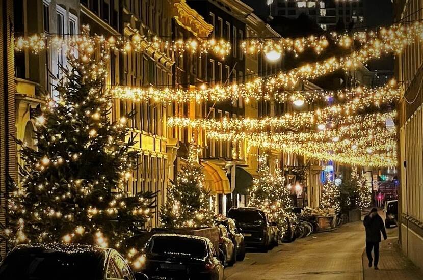 Afbeelding: kerstbomen en kerstverlichting in de Lange Houtstraat