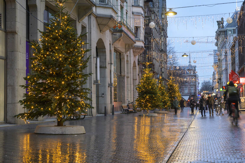 Kerstbomen met lampjes in de Lange Poten met links de gebouwen van de Tweede Kamer