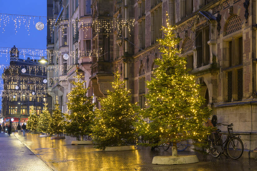 Kerstbomen in de Lange Poten met rechts de gebouwen van de Tweede Kamer